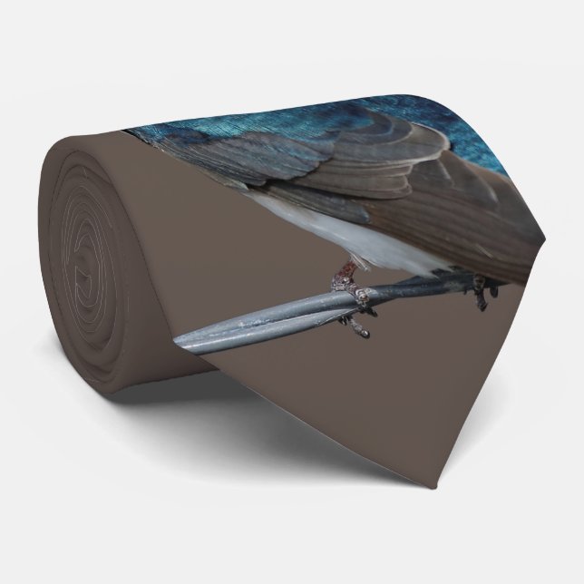 Handsome Träd Sväljer: Bird on a Wire Slips (Rullad)