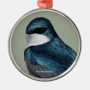 Handsome Träd Sväljer Blue Songbird Julgransprydnad Metall