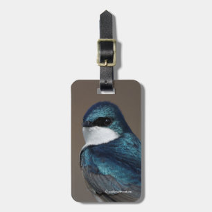 Handsome Träd Sväljer Songbird på ett trål Bagagebricka