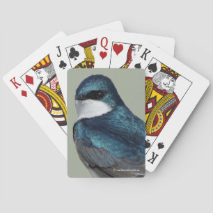 Handsome Träd Sväljer Songbird på ett trål Casinokort