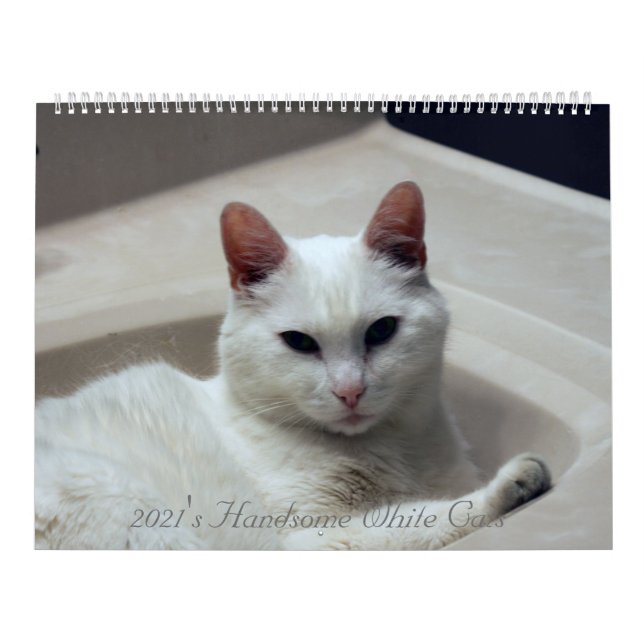 Handsome White Cats 2021 Kalender (Omslag)