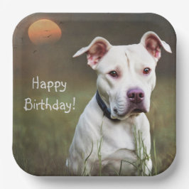 Handsome White Pitbull Birthday