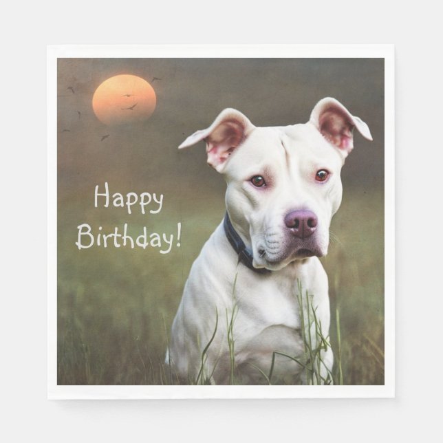 Handsome White Pitbull Birthday Pappersservett (Framsidan)