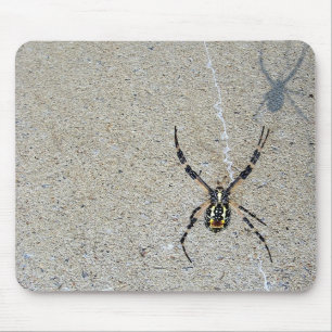 Handstilspindeln ser att den är skuggar Mousepad Musmatta