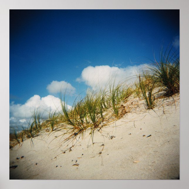 Handtoningsavtryck Poster (Framsidan)