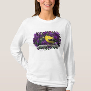 Hane, amerikansk guldfink i sommardräkt, t shirt