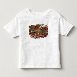 Hane Amerikansk Rödbröst i Svart Hagtorn T-shirt