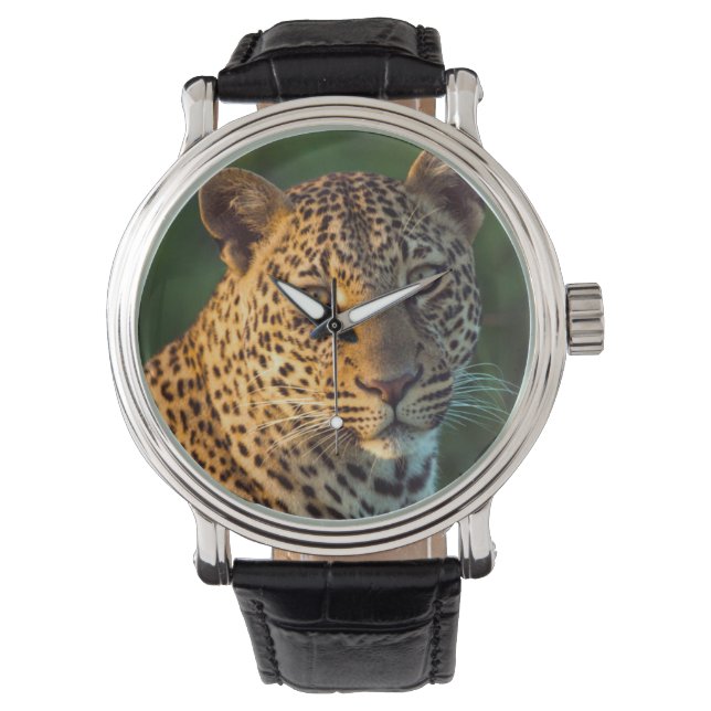 Hane Leopard (Panthera Pardus) Fullvuxen unge Armbandsur (Framsida)