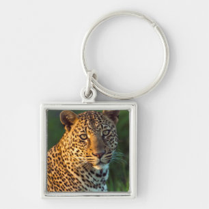 Hane Leopard (Panthera Pardus) Fullvuxen unge Fyrkantig Silverfärgad Nyckelring