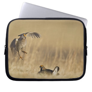 Hane stäpphöns på spelplats i Loup County Laptop Sleeve