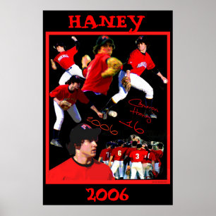 Haney baseballaffisch poster
