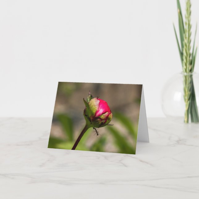 "Häng där" Peony Folat Greeting Card Kort (Framsida)
