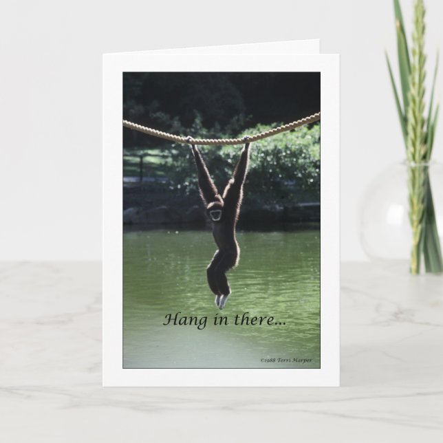 Häng kvar där kort (Framsida)