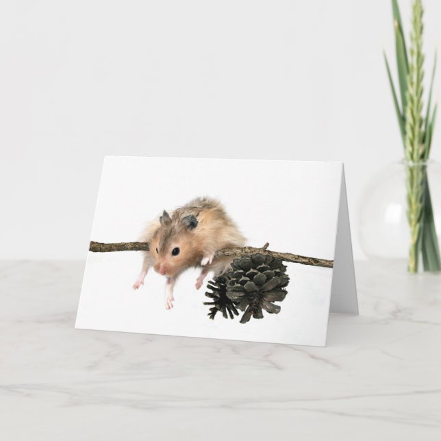 Häng med på kortet kort (Framsida)