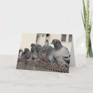 hänga med pojkarna kort