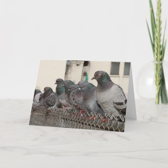 hänga med pojkarna kort (Framsida)