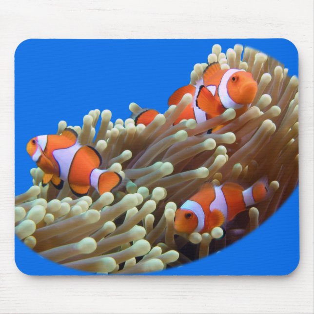 Hänga ut med clownfisken musmatta (Framsidan)