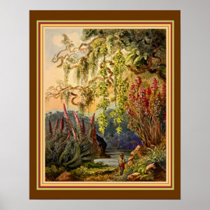 "Hängande bambu av Sri Lanka" vid Haeckel Ca. 1882 Poster