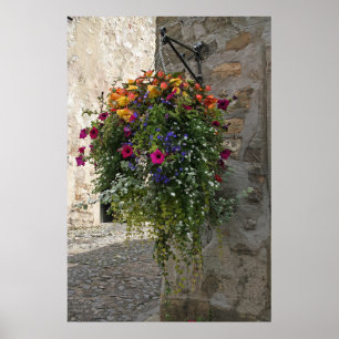 Hängande basket poster