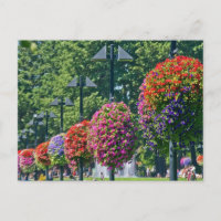 Hängande blomma Basket