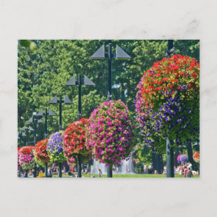 Hängande blomma Basket Vykort