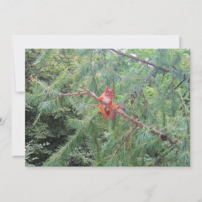 Hängande där inne julkort (Framsida)