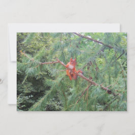 Hängande där inne julkort