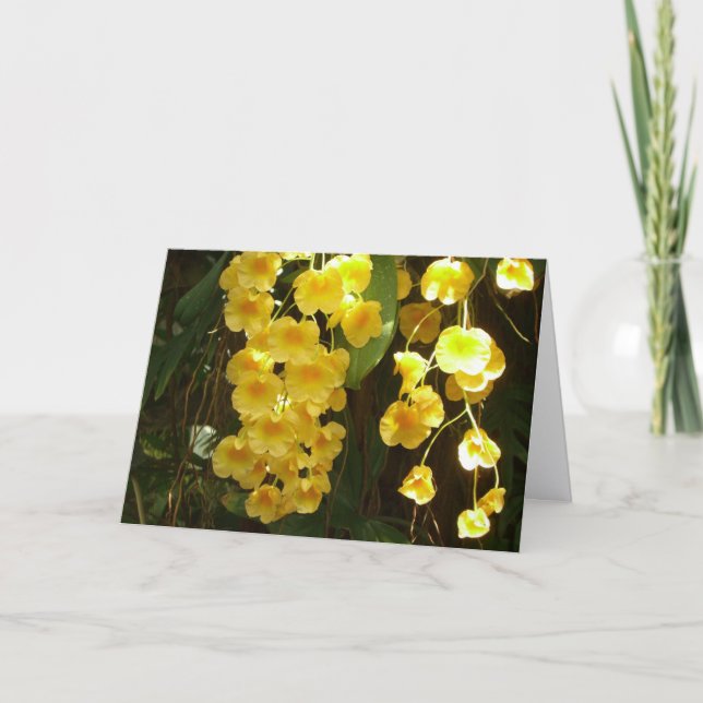 Hängande gula orkidéer Tropiska blommor Anteckningskort (Framsida)
