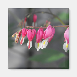 Hängande hörn Magnet