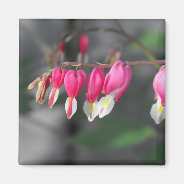 Hängande hörn Magnet (Framsidan)