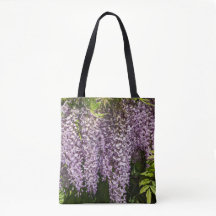 Hängande lila Wisteria blomster