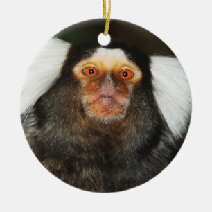 Hängande prydnad för Marmoset Julgransprydnad Keramik