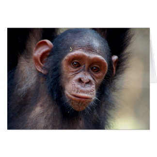 Hängande runt hälsningskort