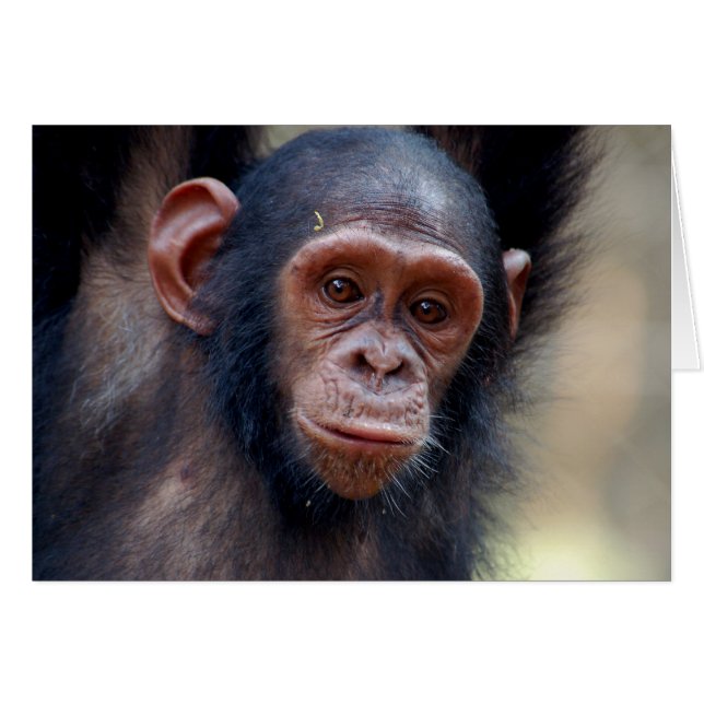 Hängande runt hälsningskort (Framsidan Horizontal)