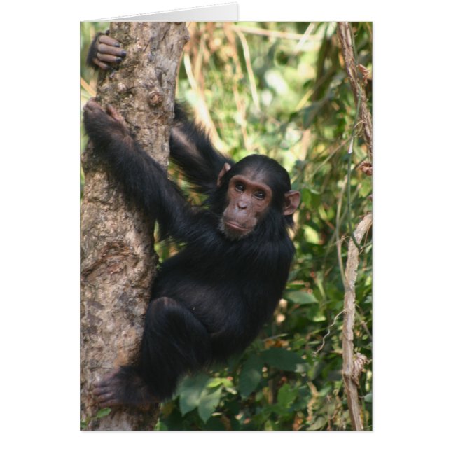 Hängande runt hälsningskort (Framsidan)