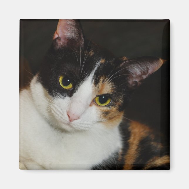 Hängande runt magnet (Framsidan)