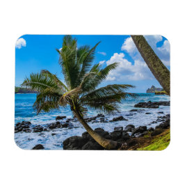 Hängande runt.. magnet