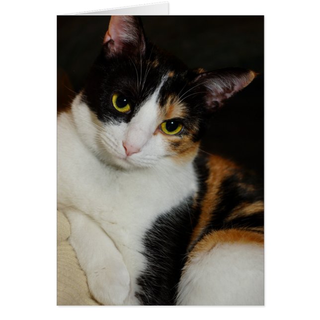 Hängande runt OBS kort (Framsidan)