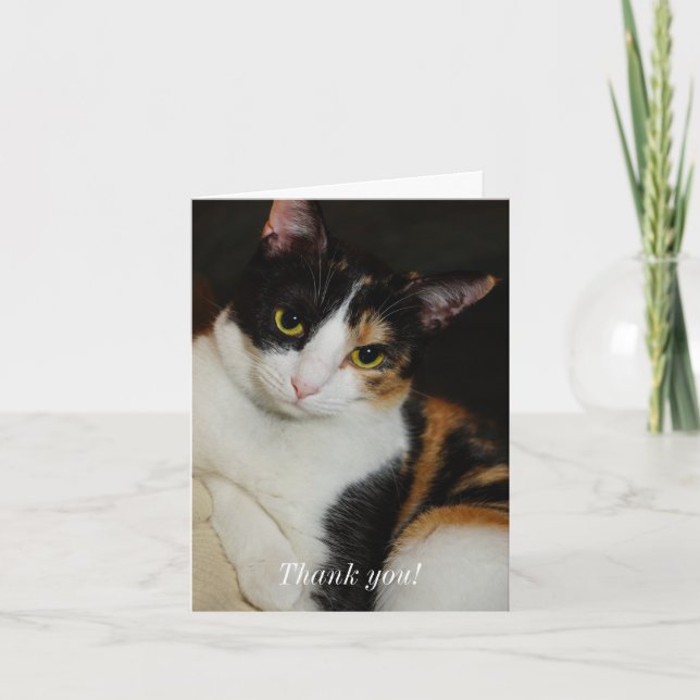 Hängande runt tack kort (Framsida)