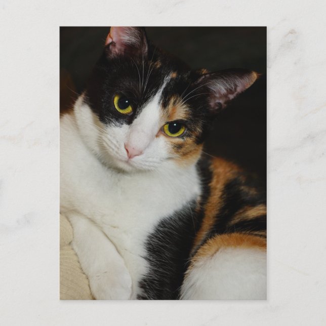 Hängande runt vykort (Framsida)