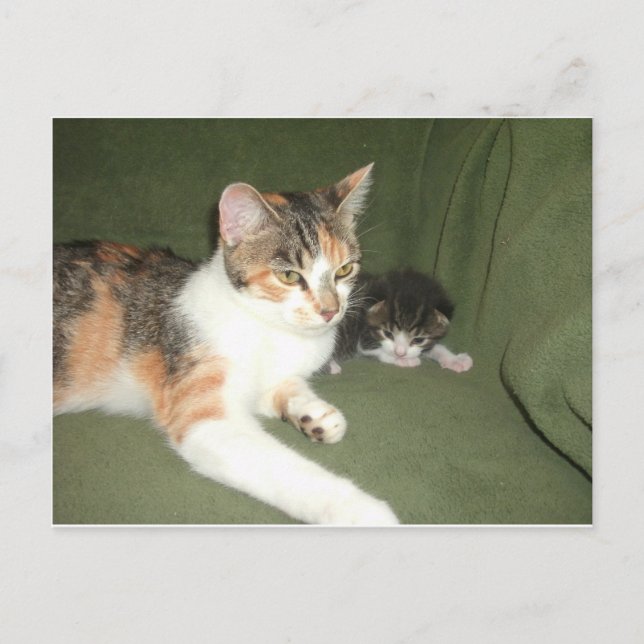 Hängande ut vykort (Framsida)