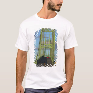 Hängbro till Little Deer Isle Tee