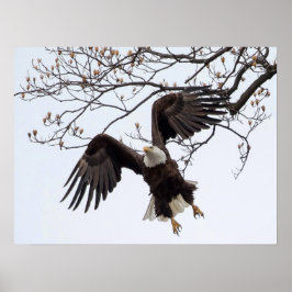 Hänger i luften poster