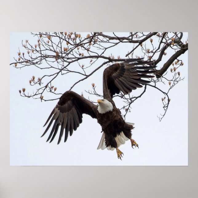 Hänger i luften poster (Framsidan)