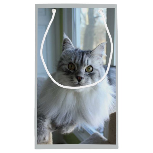 Hänger lös den Siberian kattgåvan för Soulful (Baksidan)