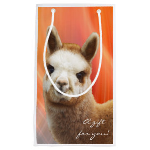 Hänger lös den små gåvan för Alpaca