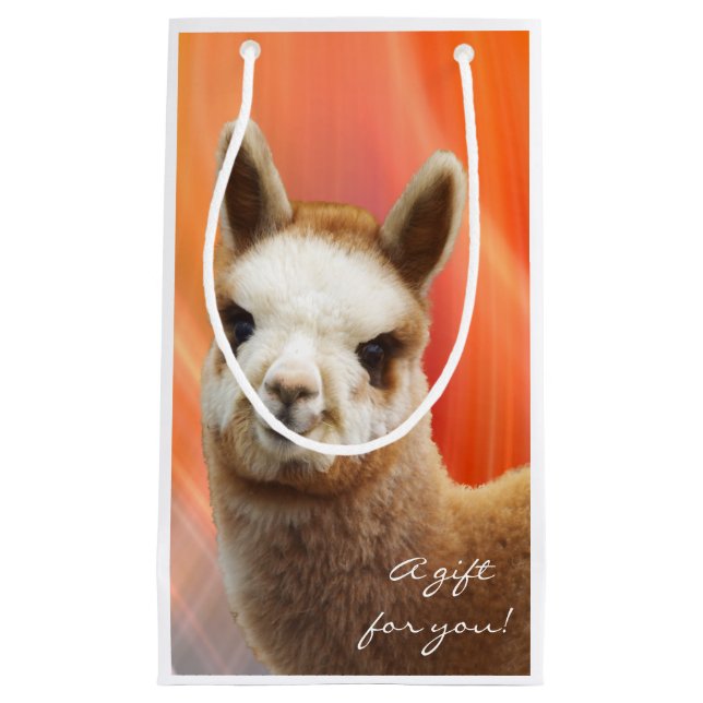 Hänger lös den små gåvan för Alpaca (Framsidan)