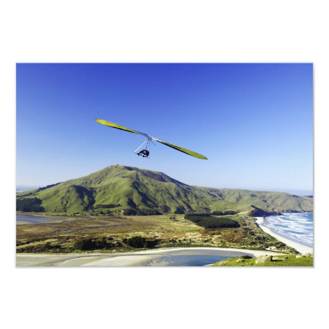 Hängglidare, Otago-halvön, nära Dunedin, Fototryck (Framsidan)
