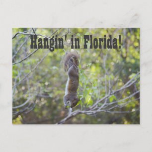 Hangin' i Florida Vykort