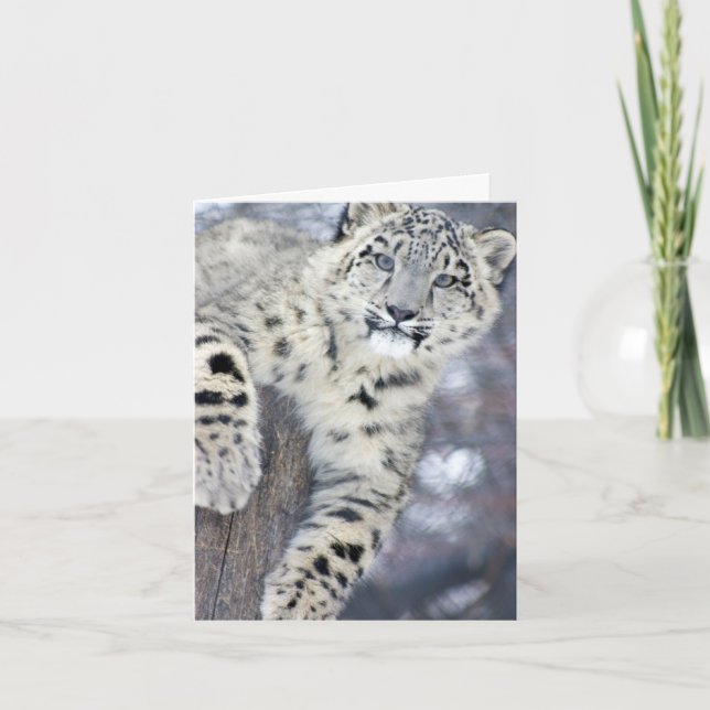 Hangin runt om…., kort (Framsida)